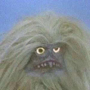 Meet your Posher, Johnny